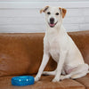 Rosewood Orka Tire Dog Toy