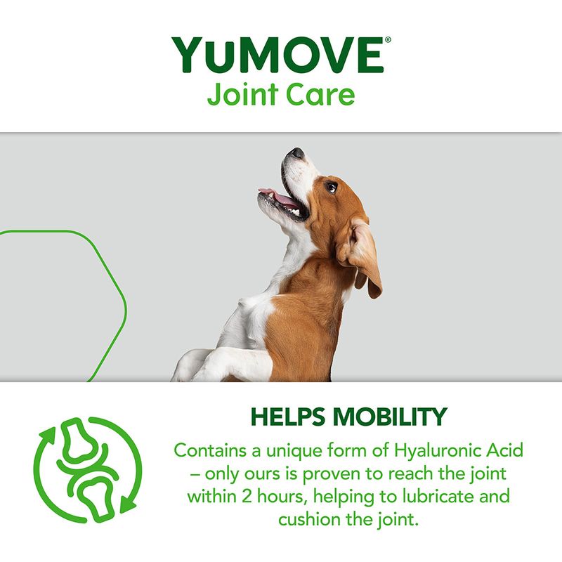 Yumove dog best sale 300 tablets